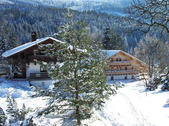 Pension Klose Kubova Hut Exterior photo